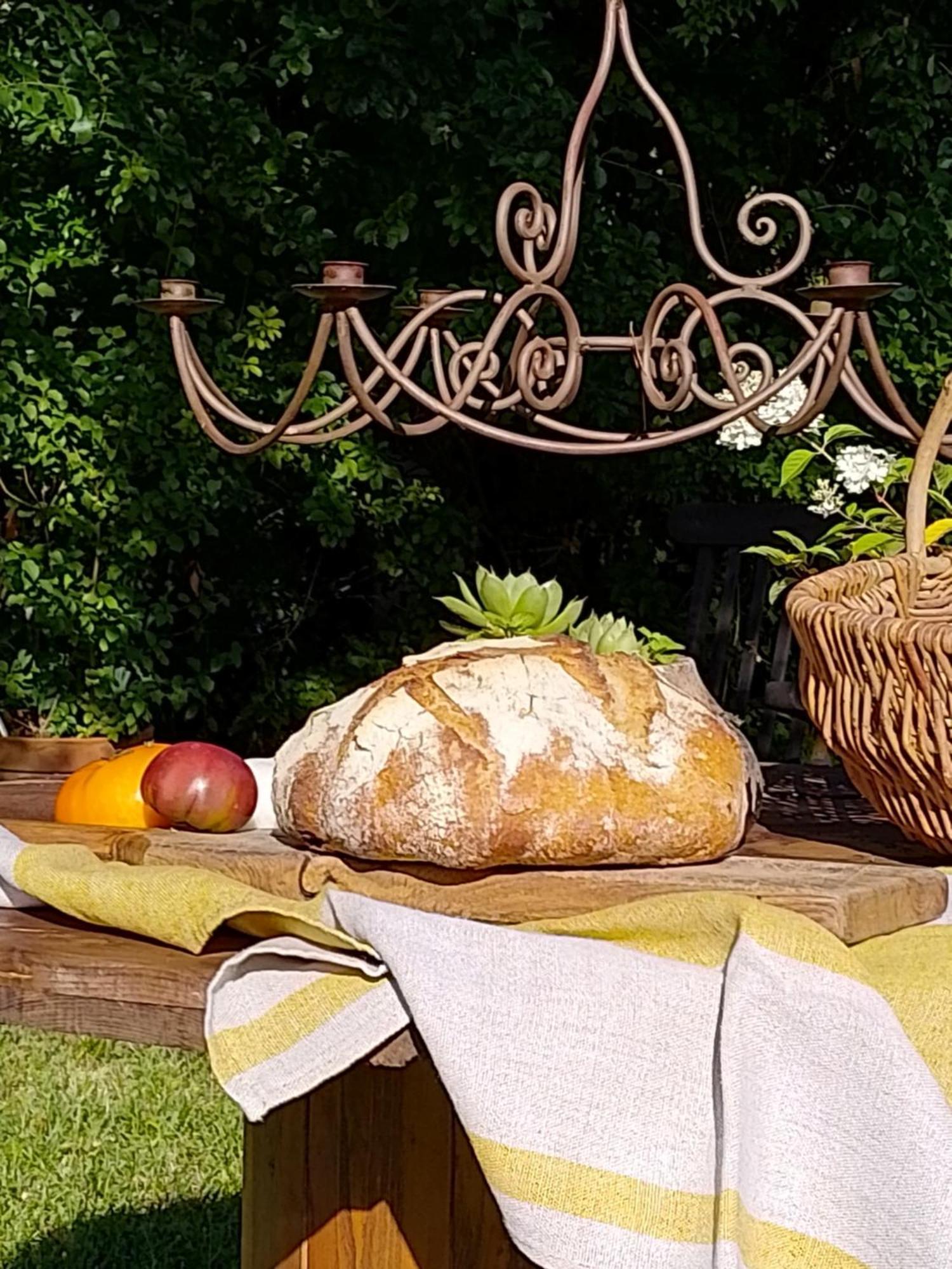 Bastida De Beata Bed & Breakfast Noailles  Eksteriør bilde