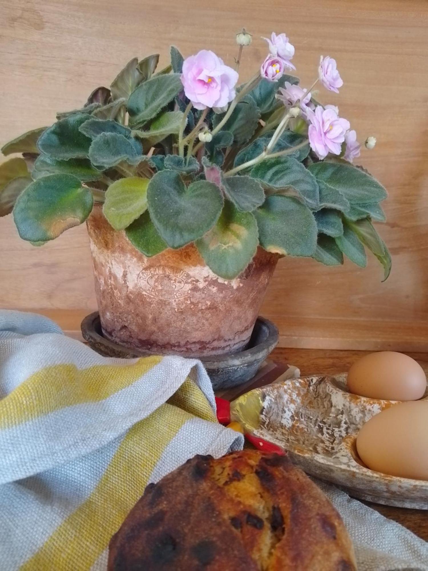 Bastida De Beata Bed & Breakfast Noailles  Eksteriør bilde